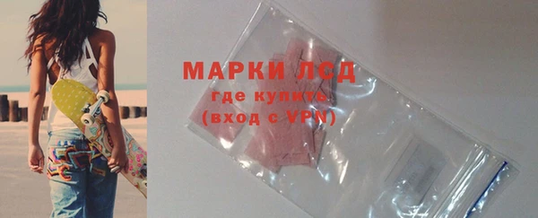 хмурый Алзамай