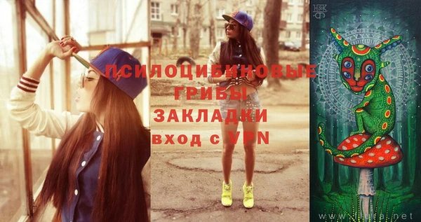 хмурый Алзамай