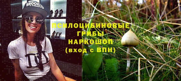 дурь Абаза