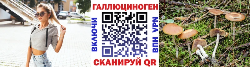 Псилоцибиновые грибы ЛСД Ухта