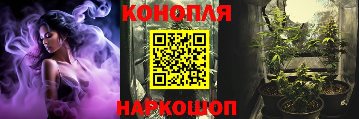A PVP Ухта